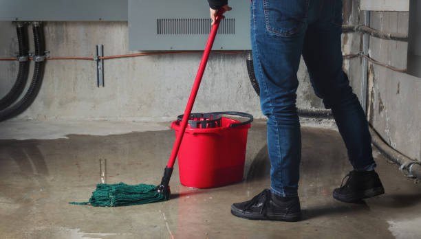 Best Sewage Cleanup and Restoration in Clinton, OH